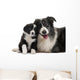 Border Collies Interacting Wall Decal