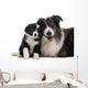 Border Collies Interacting Wall Decal