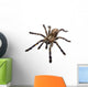 Tarantula Spider Wall Decal