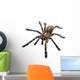 Tarantula Spider Wall Decal