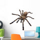 Tarantula Spider Wall Decal
