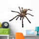 Tarantula Spider Wall Decal