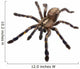 Tarantula Spider Wall Decal