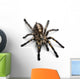Tarantula Spider Wall Decal