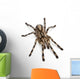 Tarantula Spider Poecilotheria Fasciata Wall Decal