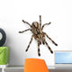 Tarantula Spider Poecilotheria Fasciata Wall Decal