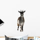 Common Goat From the West of France Wall Decal