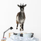 Common Goat From the West of France Wall Decal