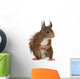Eurasian Red Squirrel Sciurus Wall Decal