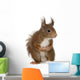Eurasian Red Squirrel Sciurus Wall Decal