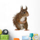 Eurasian Red Squirrel Sciurus Wall Decal