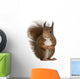 Eurasian Red Squirrel Wall Decal