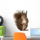 Eurasian Red Squirrel Wall Decal