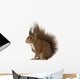 Eurasian Red Squirrel Sciurus Wall Decal