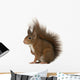 Eurasian Red Squirrel Sciurus Wall Decal