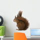 Eurasian Red Squirrel