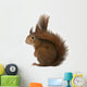Eurasian Red Squirrel