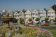 Victorian Houses San Francisco