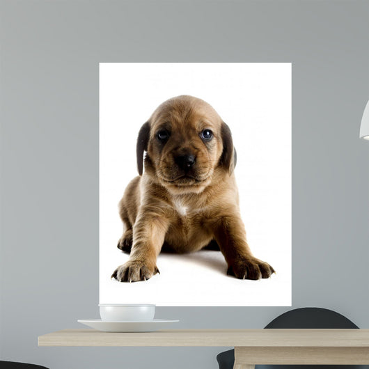 Cute Puppy Wall Decal