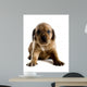 Cute Puppy Wall Decal