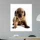 Cute Puppy Wall Decal