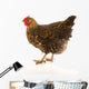 Golden Laced Wyandotte Chicken Wall Decal
