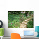 Steps Wall Mural