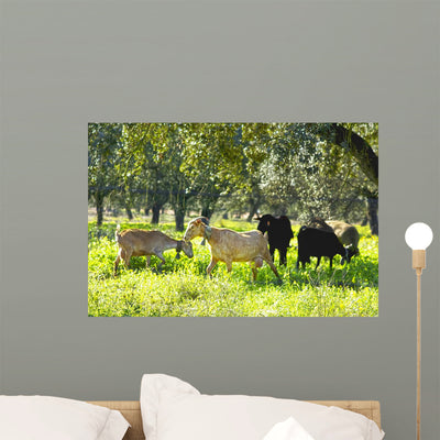Goats Green Field Wall Mural shown on a wall