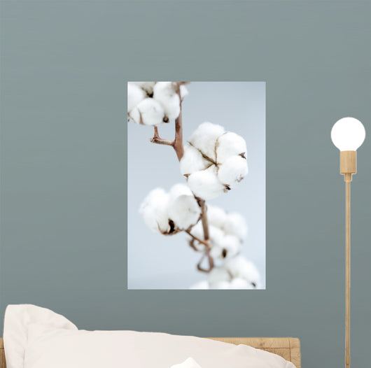 Cotton