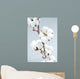 Cotton