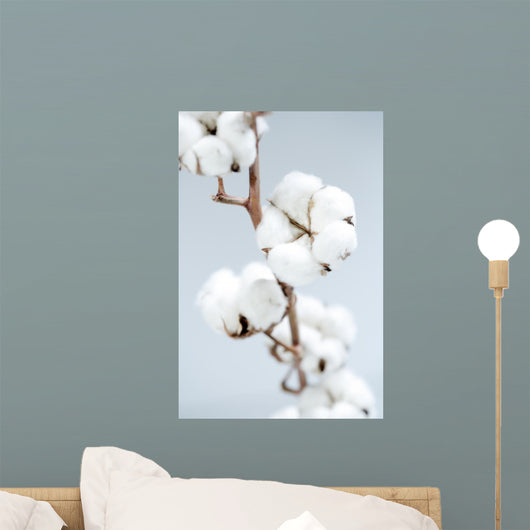 Cotton