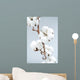 Cotton