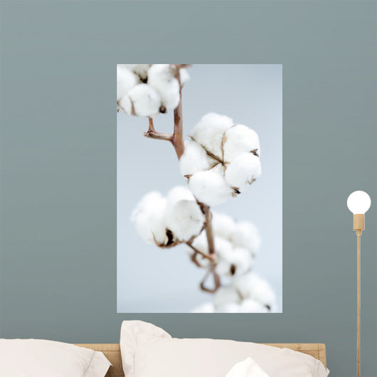 Cotton