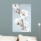 Cotton