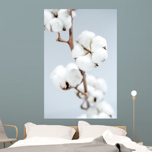 Cotton