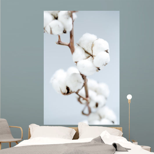 Cotton