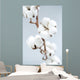 Cotton