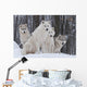 Arctic Wolf Pack Wall Mural