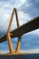 Cooper River Bridge in Charleston, South Carolina. Wall Mural