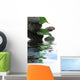 décor feuilles de ficus sur galets Wall Mural