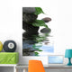 décor feuilles de ficus sur galets Wall Mural