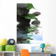 décor feuilles de ficus sur galets Wall Mural