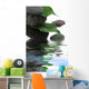 décor feuilles de ficus sur galets Wall Mural