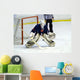 hockey goalie Wall Mural