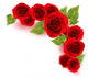 Roses Border