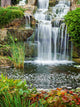 Waterfall London Park Kew