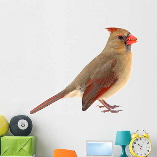 Northern Cardinal Cardinalis Cardinalis Wall Decal