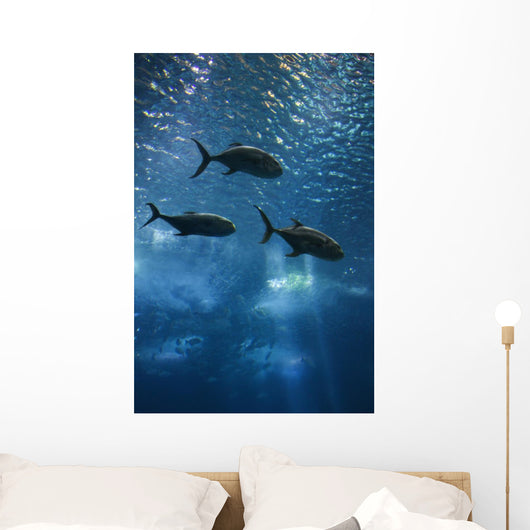 Fish Swimming in Aquarium in Lisbon Spain Wall Mural