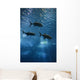 Fish Swimming in Aquarium in Lisbon Spain Wall Mural
