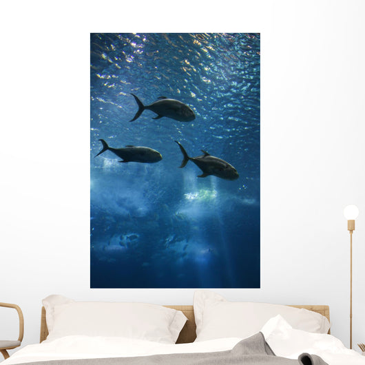 Fish Swimming in Aquarium in Lisbon Spain Wall Mural